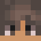 Minecraft Player head
