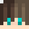 Minecraft Player head